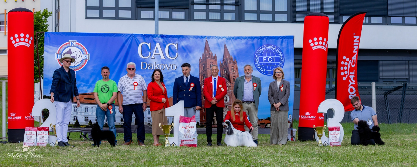 CAC Đakovo 2026 okupio brojne izlagače i ljubitelje pasa