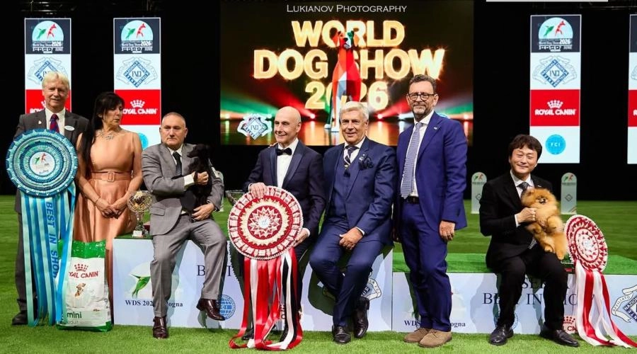 WDS 2026: Svjetska pozornica, a hrvatski uspjeh