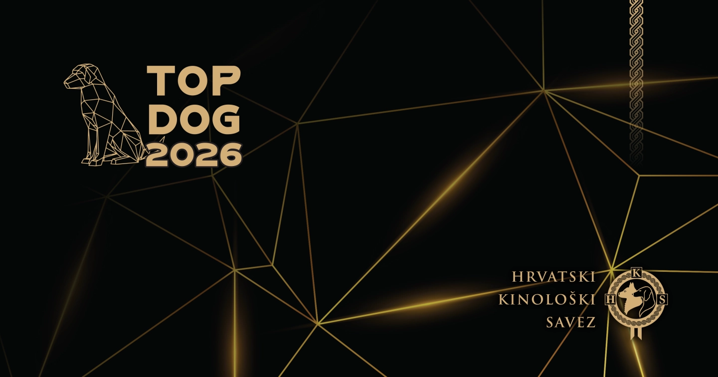 Top Dog 2026