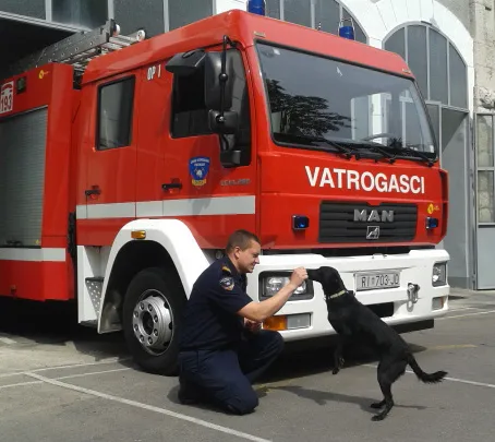 Mali Bambi na putu da postane pas heroj
